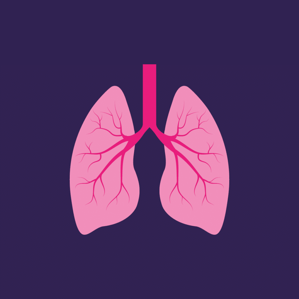 Illustration showing a pair of lungs.